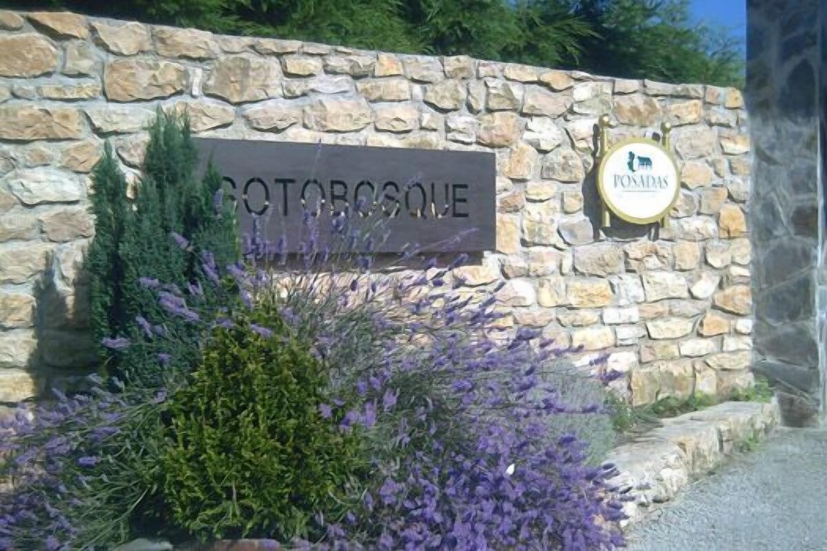 Posada Sotobosque 2