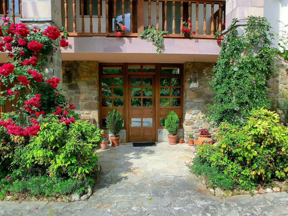 Apartamentos Javier