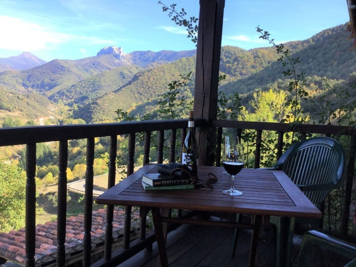 The Olmares Double apartment Picos de Europa